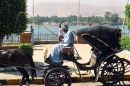 Horse & Carriage, Luxor